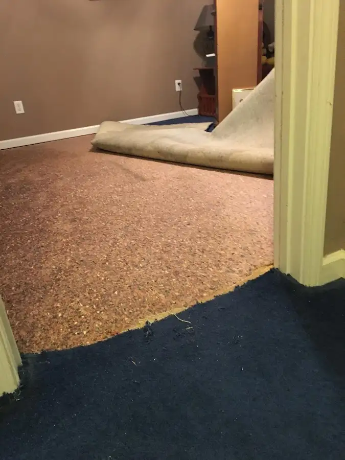 Carpet pad removal revealing water damage during Water Mitigation Services in Radford