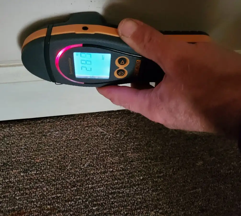 Moisture detection at baseboard during Sewage Cleanup & Sanitation in Radford